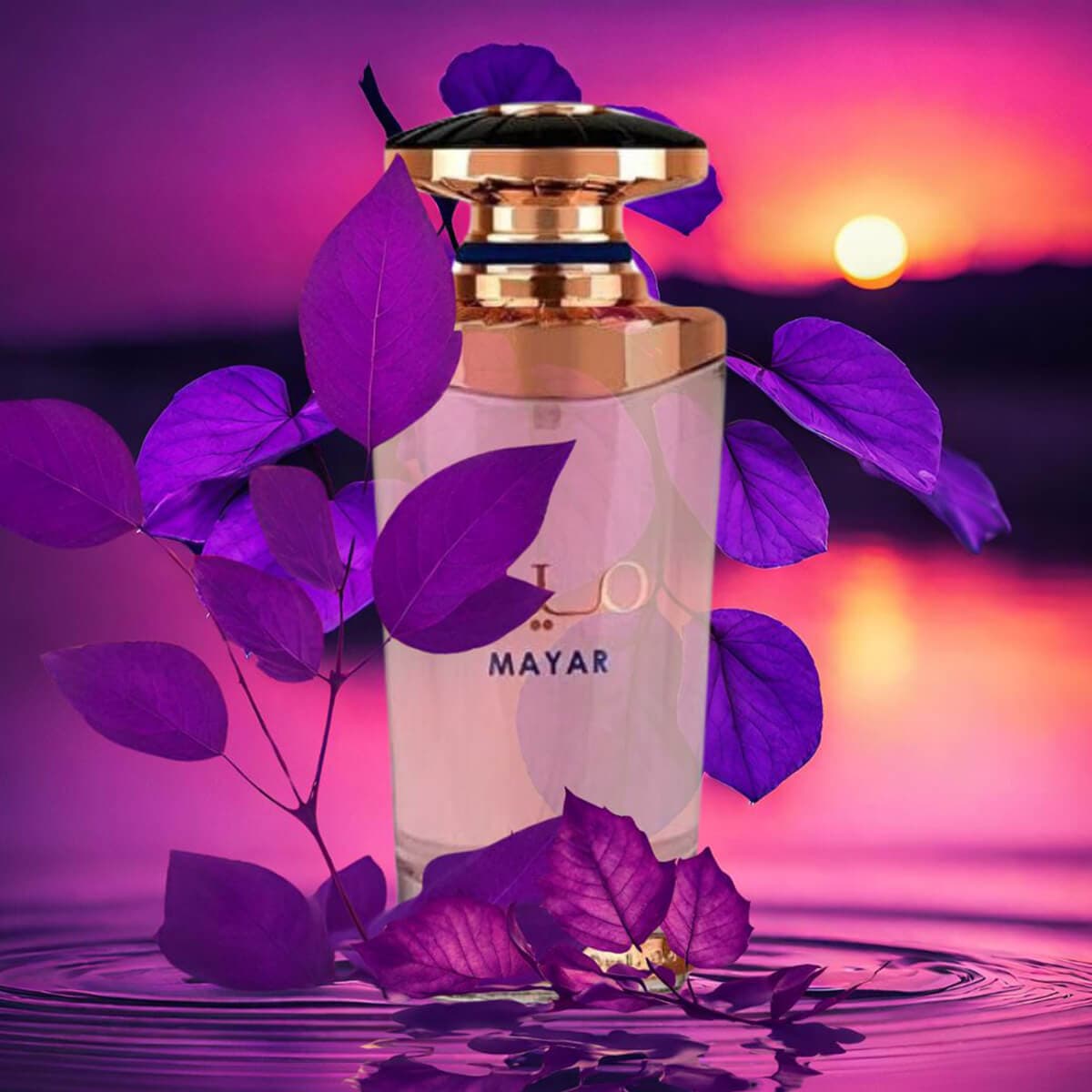 Mayar – detalle